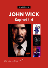 John Wick - Quadruple Feature