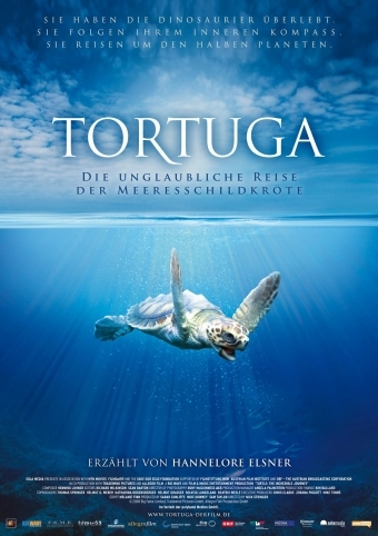 Tortuga - Die unglaubliche Reise der Meeresschildkröte