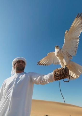Reisefilm: Vereinigte Arabische Emirate