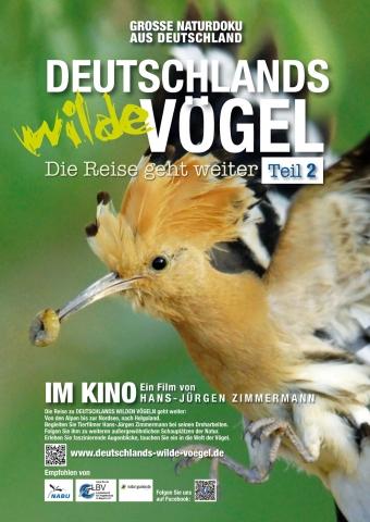 Deutschlands wilde Vögel Teil 2 - Die Reise geht weiter