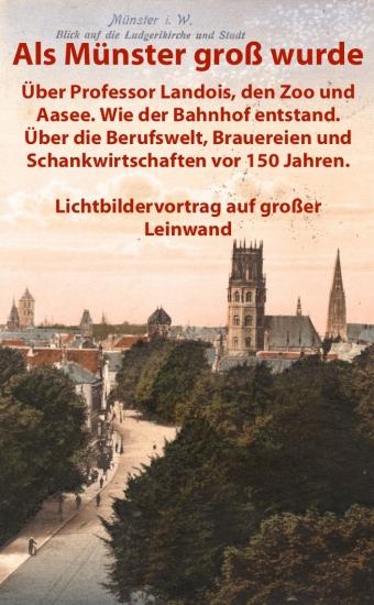 Als Münster groß wurde - Kleine Geschichten aus Münsters Geschichte