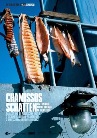 Chamissos Schatten: Kapitel 3 - Kamtschatka und die Beringinsel