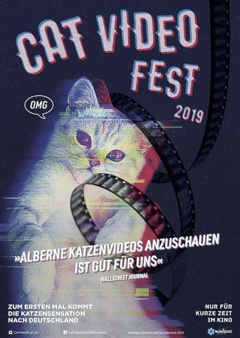Cat Video Fest 2019