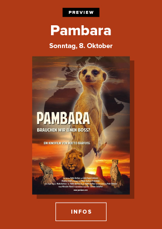 Preview: Pambara