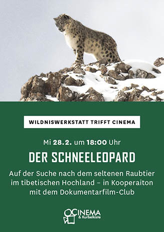 WildnisWerkstatt trifft Cinema: DER SCHNEELEOPARD