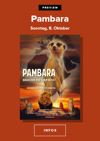 231008 Prv "Pambara"